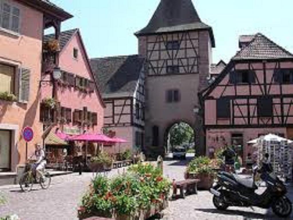 Gite Les Cigogneaux Holiday home